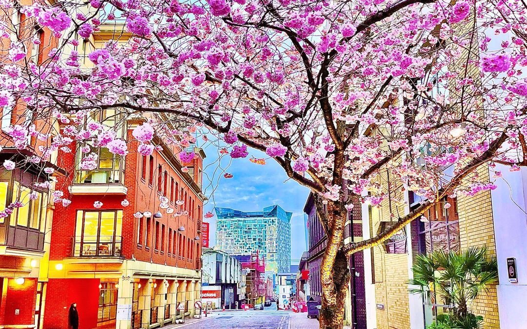 The Latest Mother’s Day Offers in Birmingham